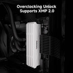 16GB (2x8GB) DDR4 3200MHz CL16 Fanxiang UD01 RAM